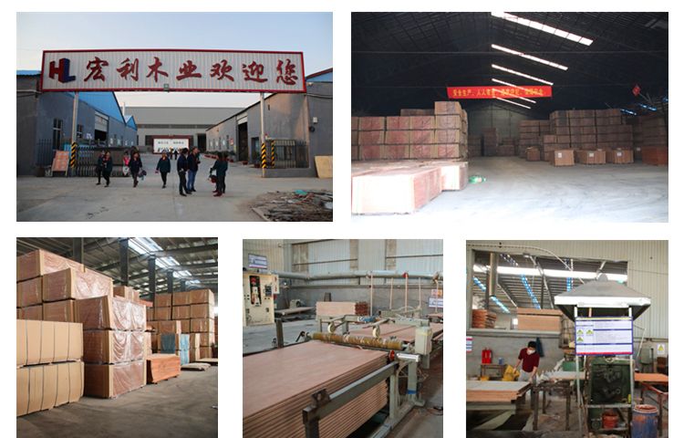 28mm Waterproof Marine Plywood Used for Repair Dry Container