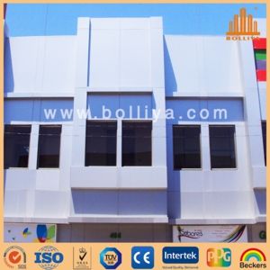 2mm 3mm 4mm 5mm 6mm 8mm 10mm ACP Facade Panel