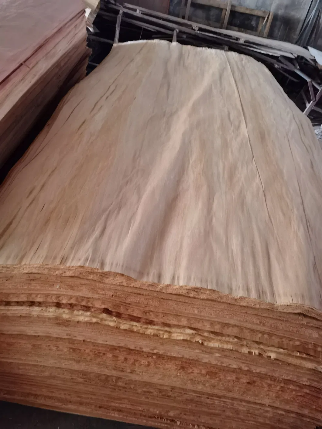 4*7 Plb Veneer B+C Grade 0.25mm Thickness Veneer for India Market From China