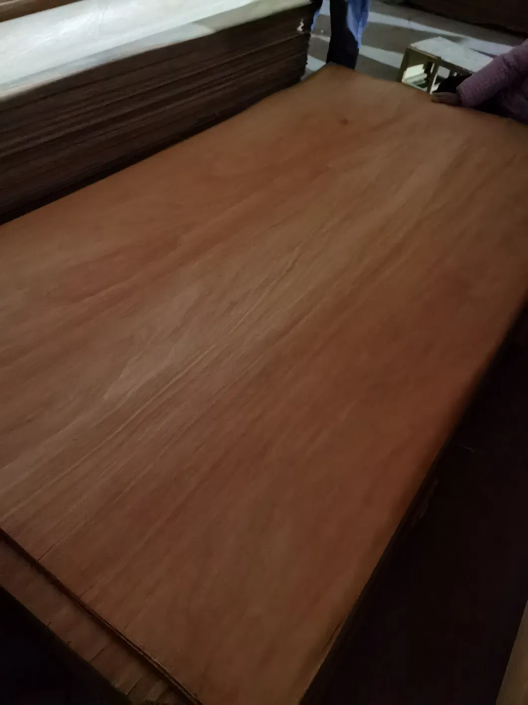 4*7 Plb Veneer B+C Grade 0.25mm Thickness Veneer for India Market From China