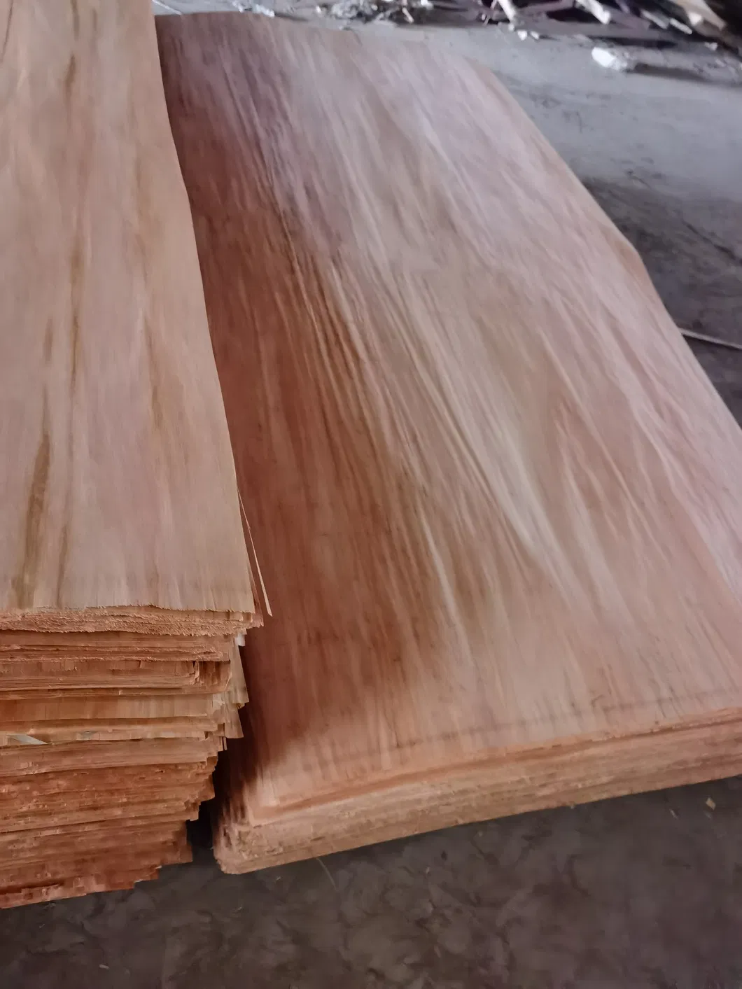 4*7 Plb Veneer B+C Grade 0.25mm Thickness Veneer for India Market From China