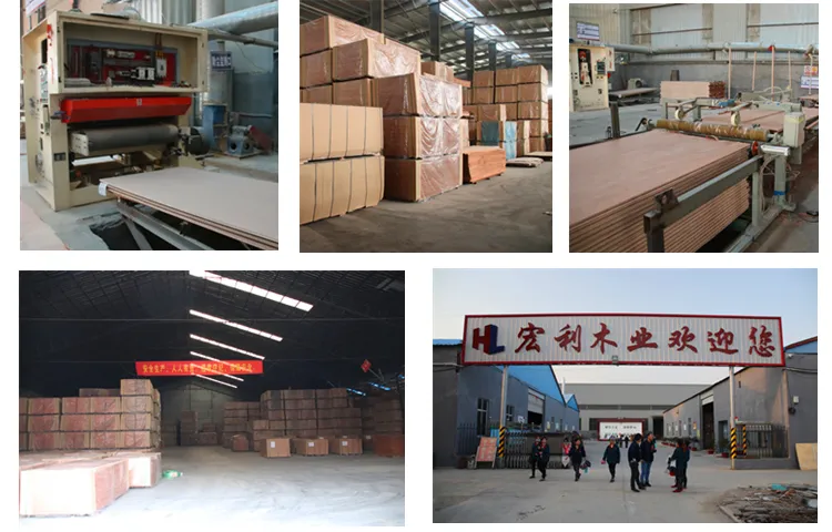 4X8FT Keruing Container Floorboard Plywood Manufacturer