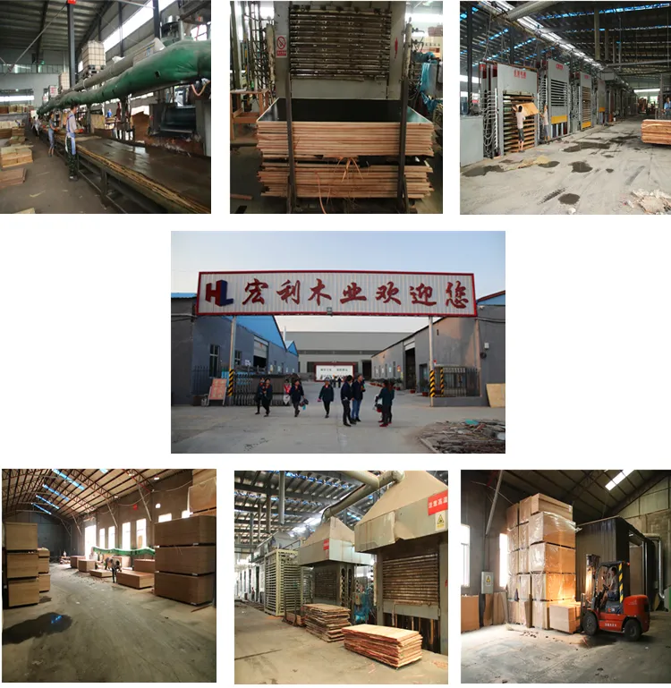 4X8FT Waterproof Hardwood Container Floor Plywood in Linyi