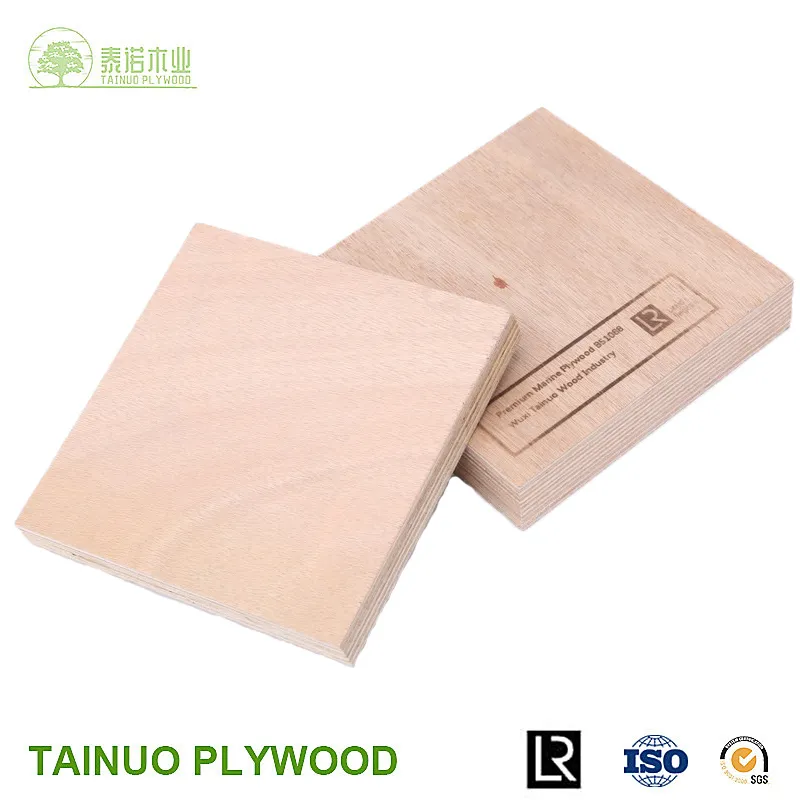 5mm 6mm A Grade Waterproof Plywood for Boat Building