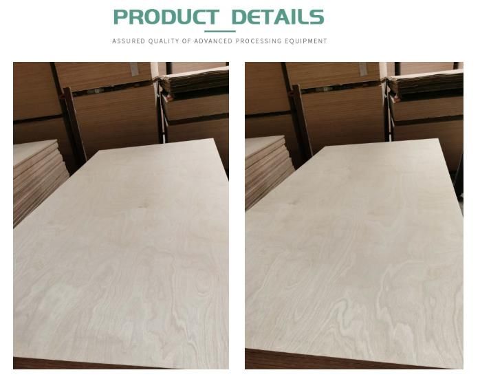 5mm Birch Plywood 1220 X 2440 X 9mm for Home Furniuture