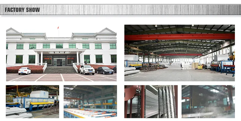 Aluminum Profile Extruded Aluminum Profile Door and Windows Section