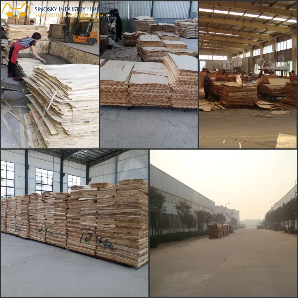 Best Quality 3.6mm 5.2mm 9mm 12mm 15mm 18mm 25mm Commercial Plywood 1220*2440