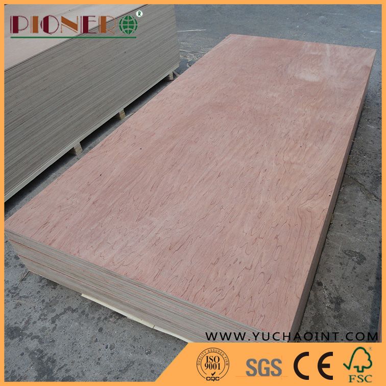 Bintangor Plywood Hardwood Core E1 Glue for Furniture /Decoration/Packing /Construction