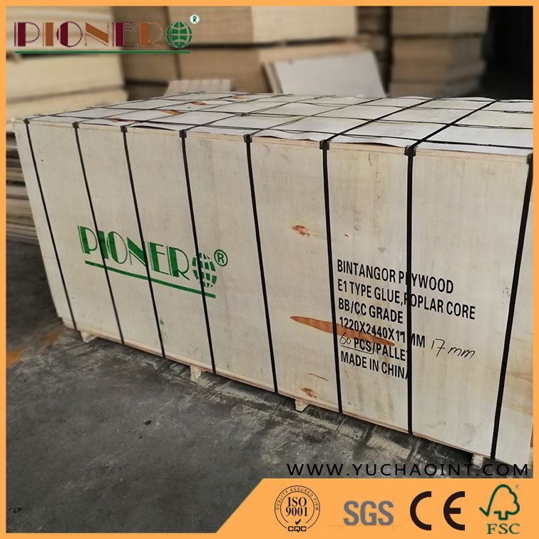 Bintangor Plywood Hardwood Core E1 Glue for Furniture /Decoration/Packing /Construction