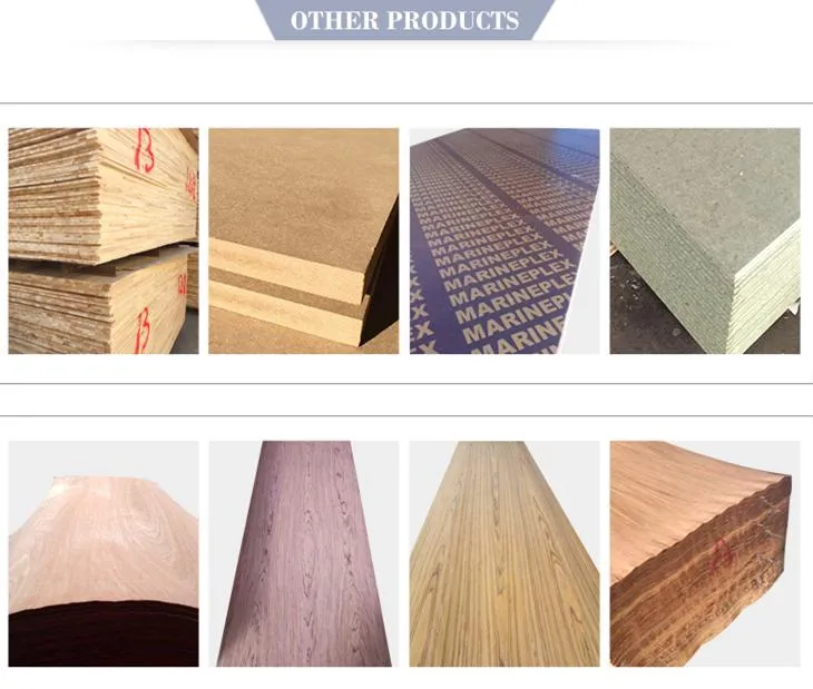 Black/Brown Film Faced Plywood for Decoration with Good Quality