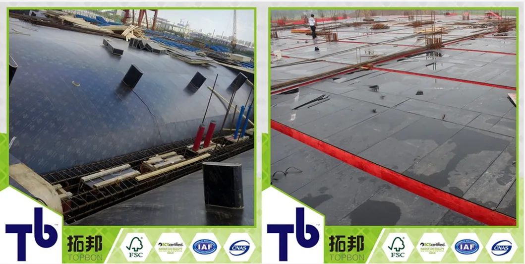 Black Film Faced Plywood 21mm with Good Price