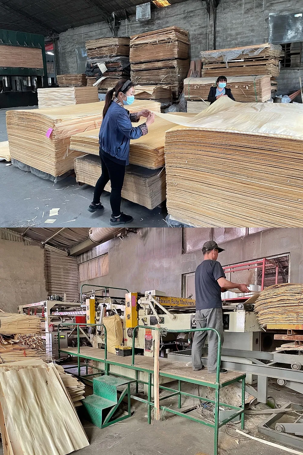 BS 1088 Marine Plywood with Llyods Register&Fsc in China