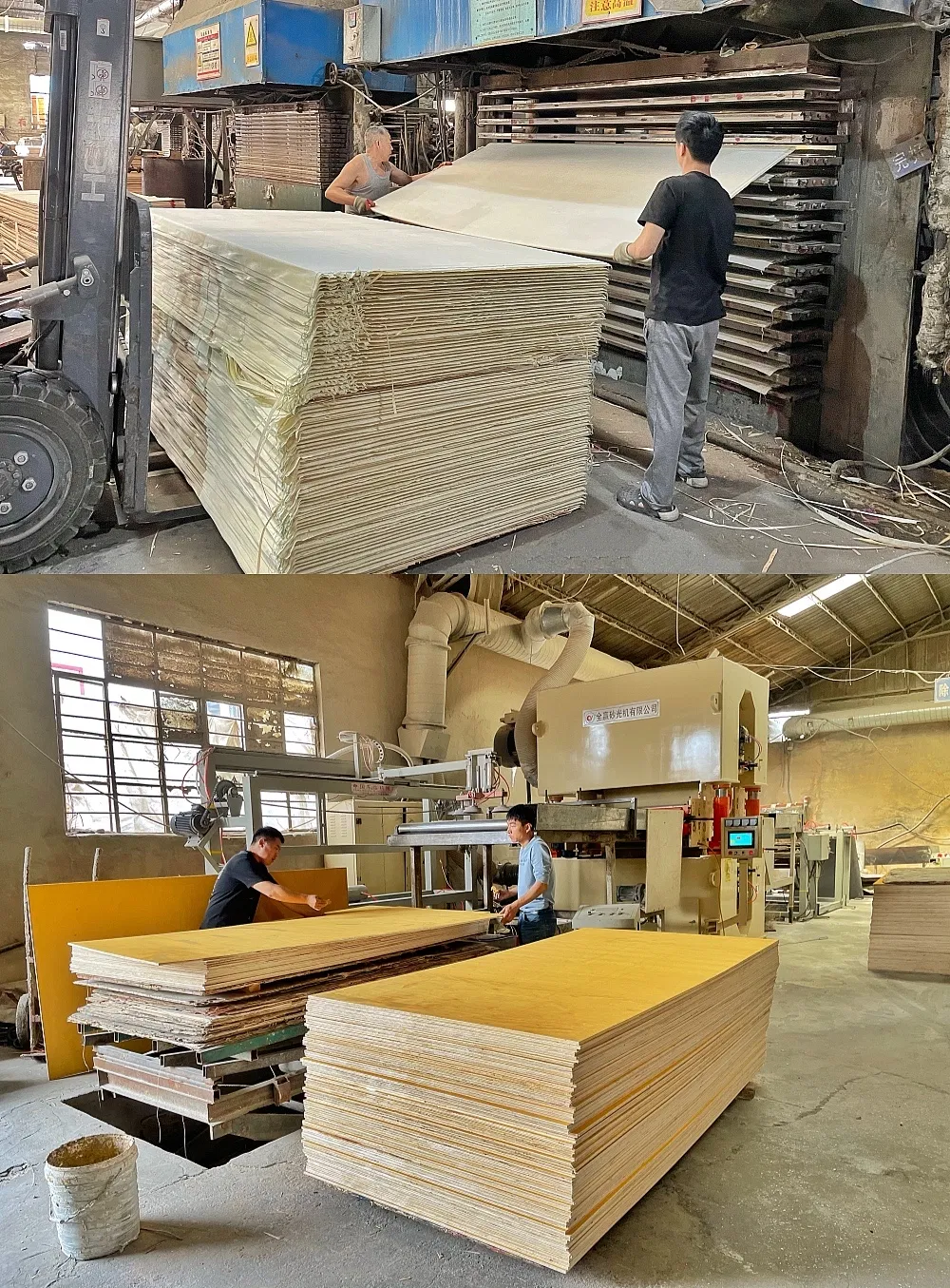 BS 1088 Marine Plywood with Llyods Register&Fsc in China