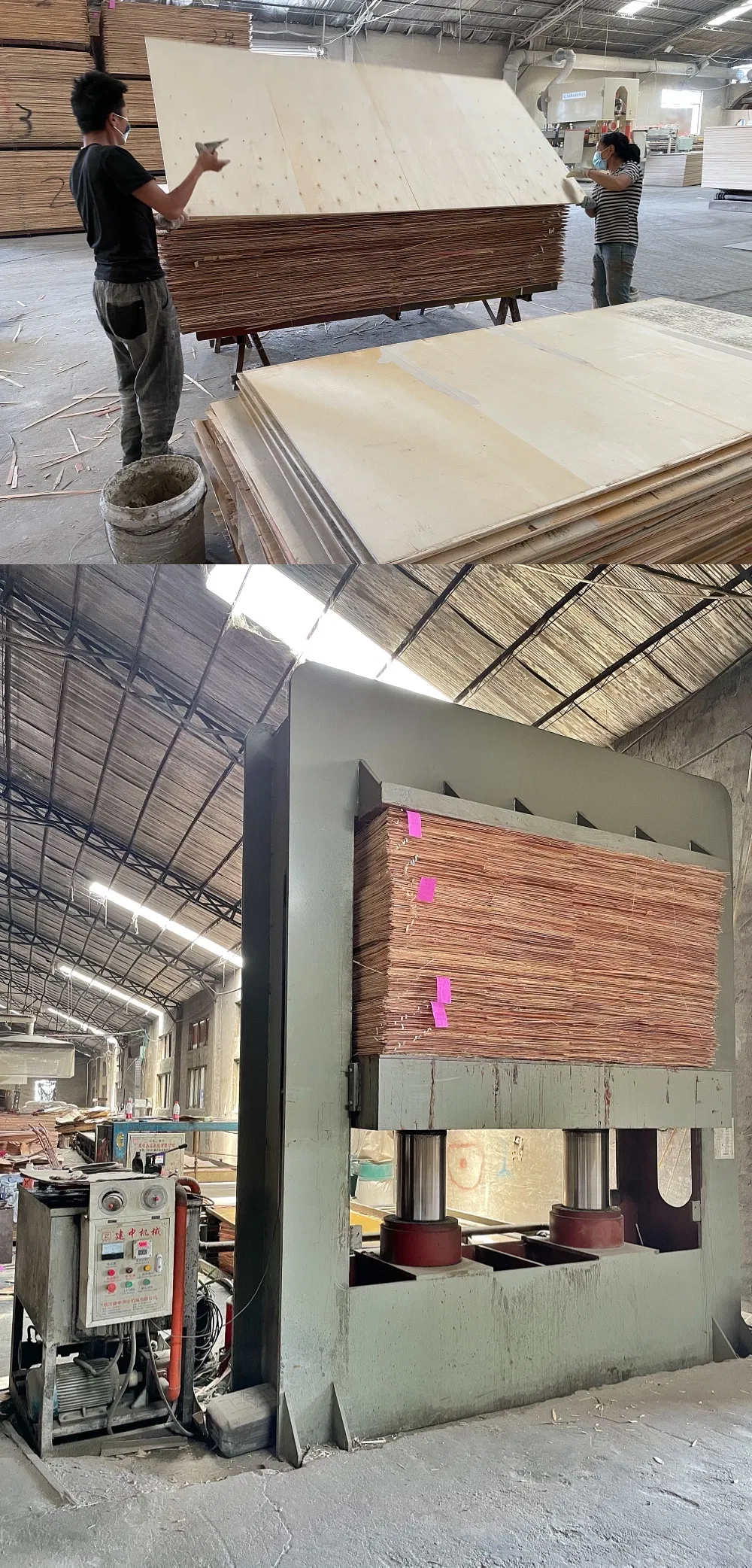 BS 1088 Marine Plywood with Llyods Register&Fsc in China