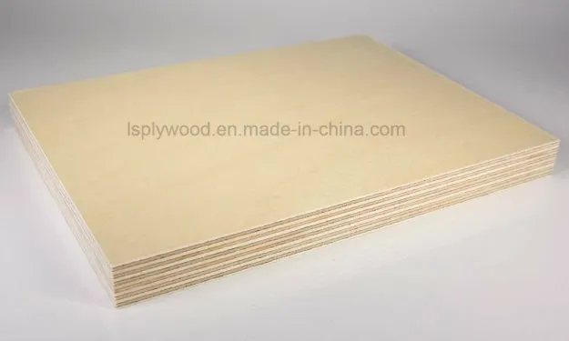 BS1088 Standard Phenolic Glue Boat Building Plywood 18mm