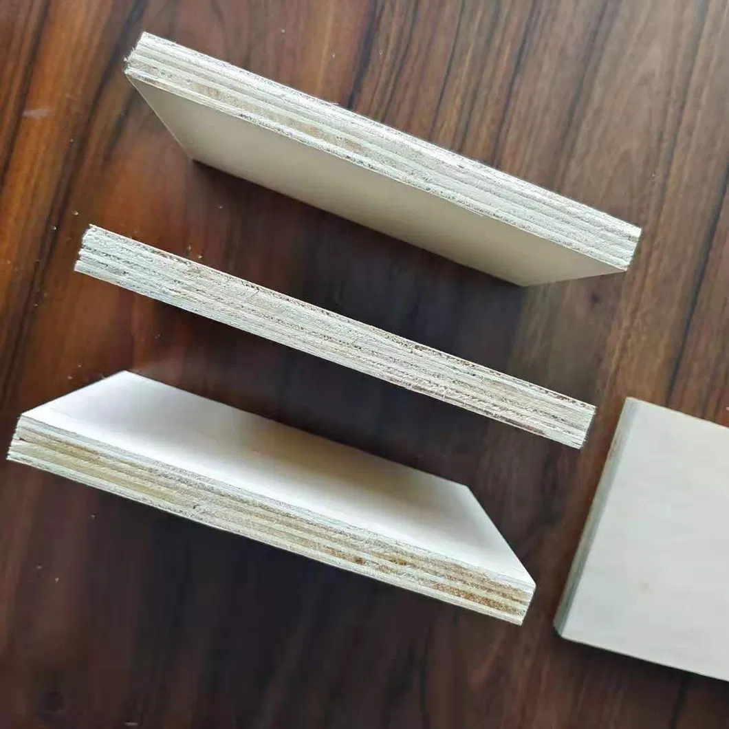 Cheap 1220*2440mm Birch Plywood Sheet for furniture