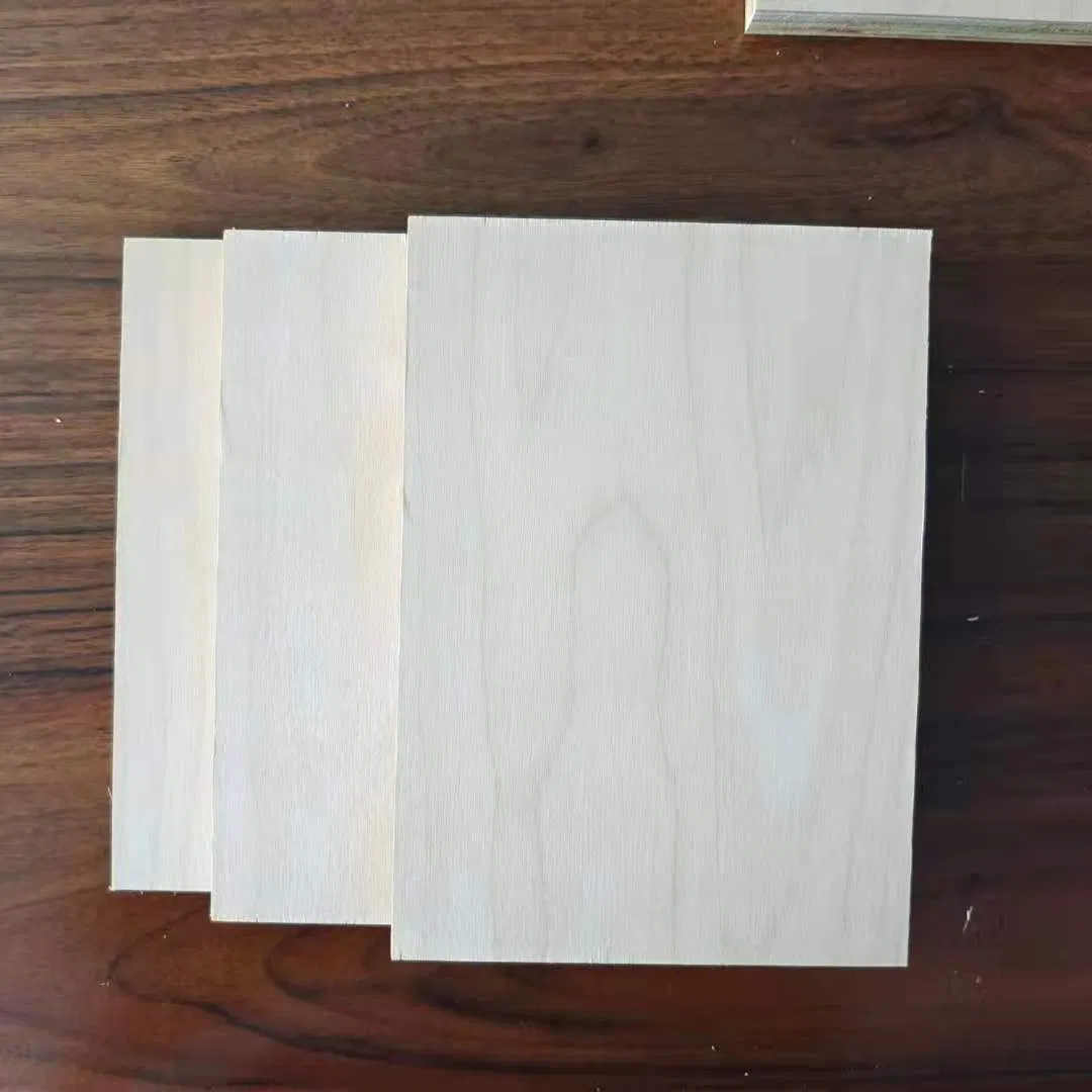 Cheap 1220 *2440mm Birch Plywood Sheet for furniture