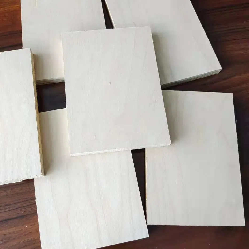 Cheap 1220*2440mm Birch Plywood Sheet for furniture