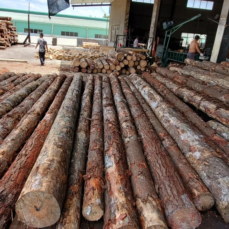 Cheap Black Construction 18mm Water Proof Plywood