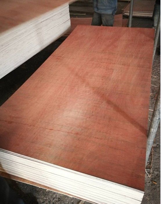 Cheaper Price with Bingtangor Faced Commercial Plywood