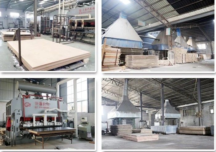 Cheaper Price with Bingtangor Faced Commercial Plywood