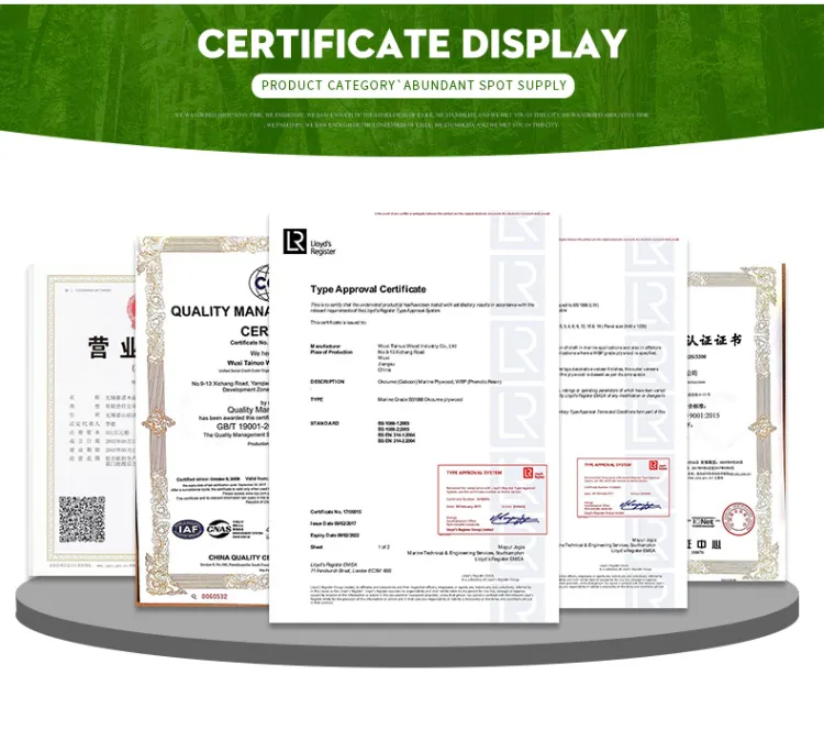 China Factory Direct Sale E0 Grade Marine Plywood with Lr Certificate