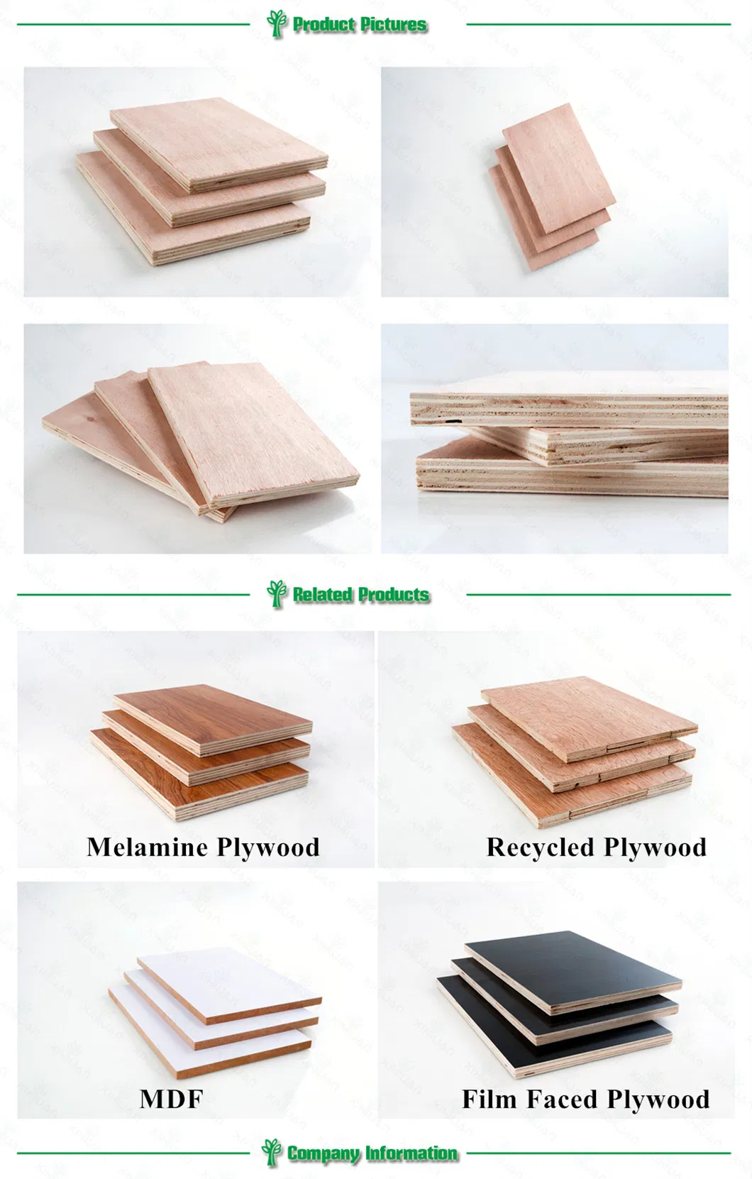 China Factory Plywood 10-25mm Use for Furniture