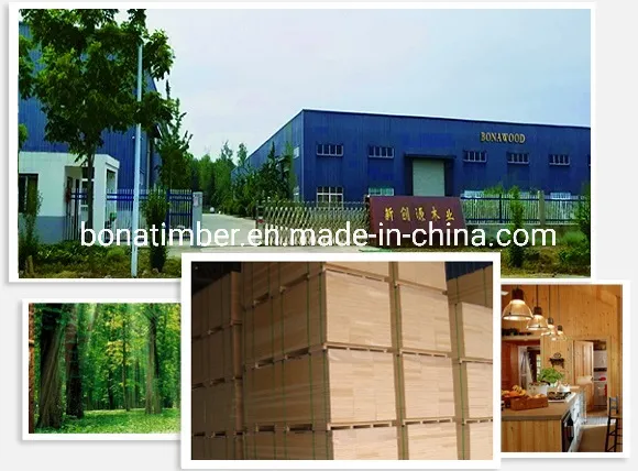 China Factory Supply Film Faced Plywood 1220X2440X11mm Black Film with Logo Wall Panel Plywood Shuttering Plywood Constructural Plywood to MID-East Market