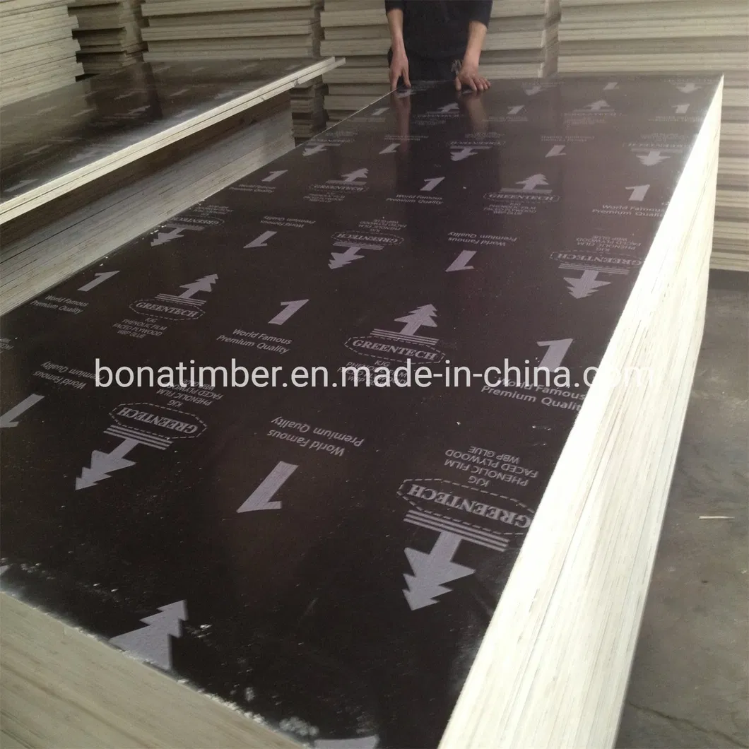 China Factory Supply Film Faced Plywood 1220X2440X11mm Black Film with Logo Wall Panel Plywood Shuttering Plywood Constructural Plywood to MID-East Market