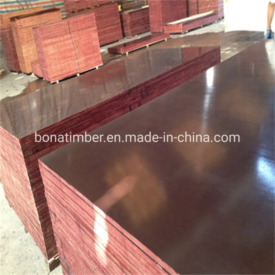 China Factory Supply Film Faced Plywood 1220X2440X11mm Black Film with Logo Wall Panel Plywood Shuttering Plywood Constructural Plywood to MID-East Market