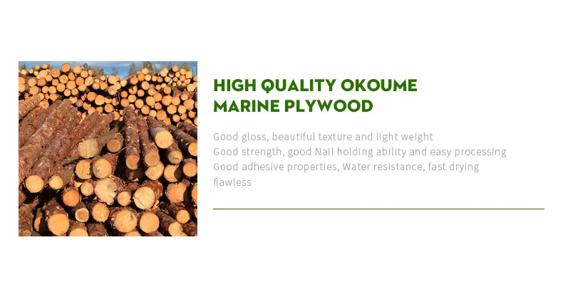 China Hot Sale Waterproof Marine Plywood