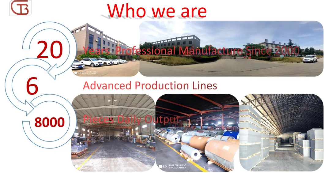 China Manufacture Acm/ACP Plate Aluminum Composite Panel