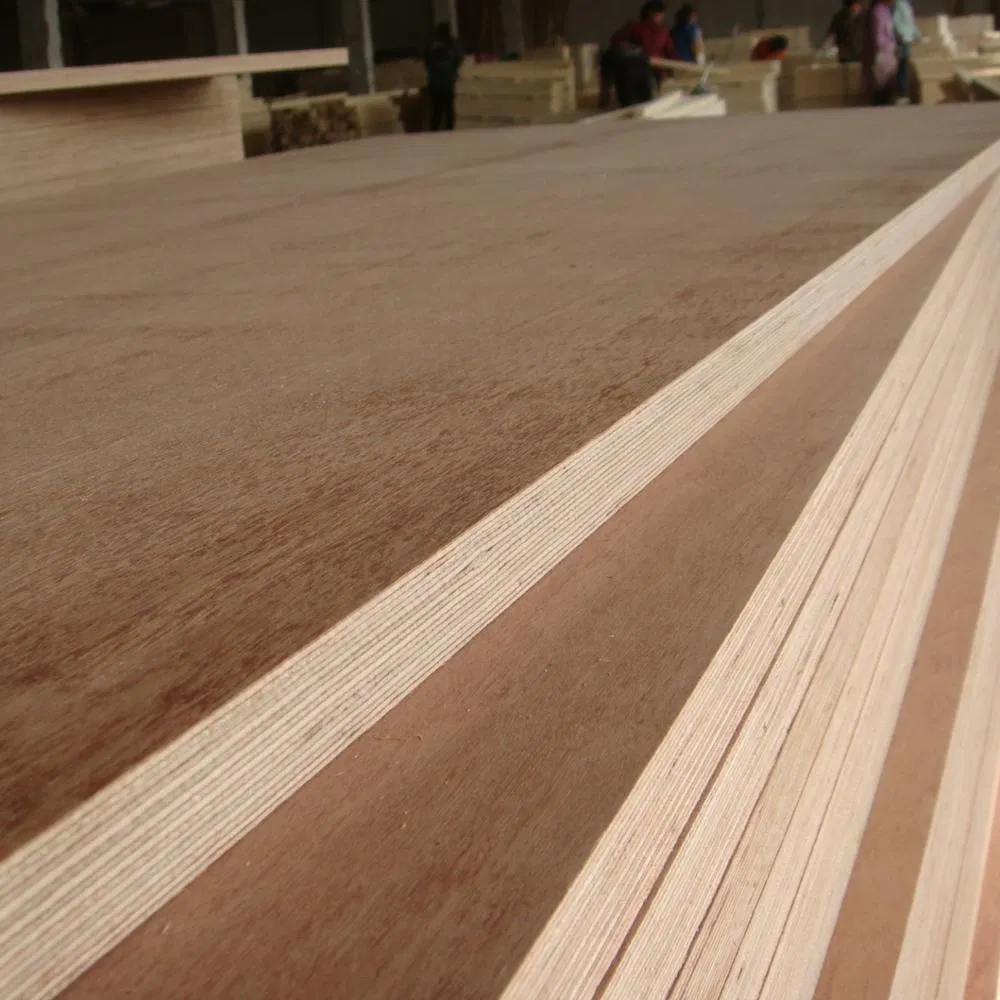 Commercial Plywood for Making Furinture Middle East Market