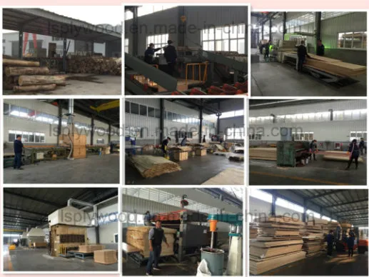 Construction and Packing and Indoor Furinture Usage Plywood