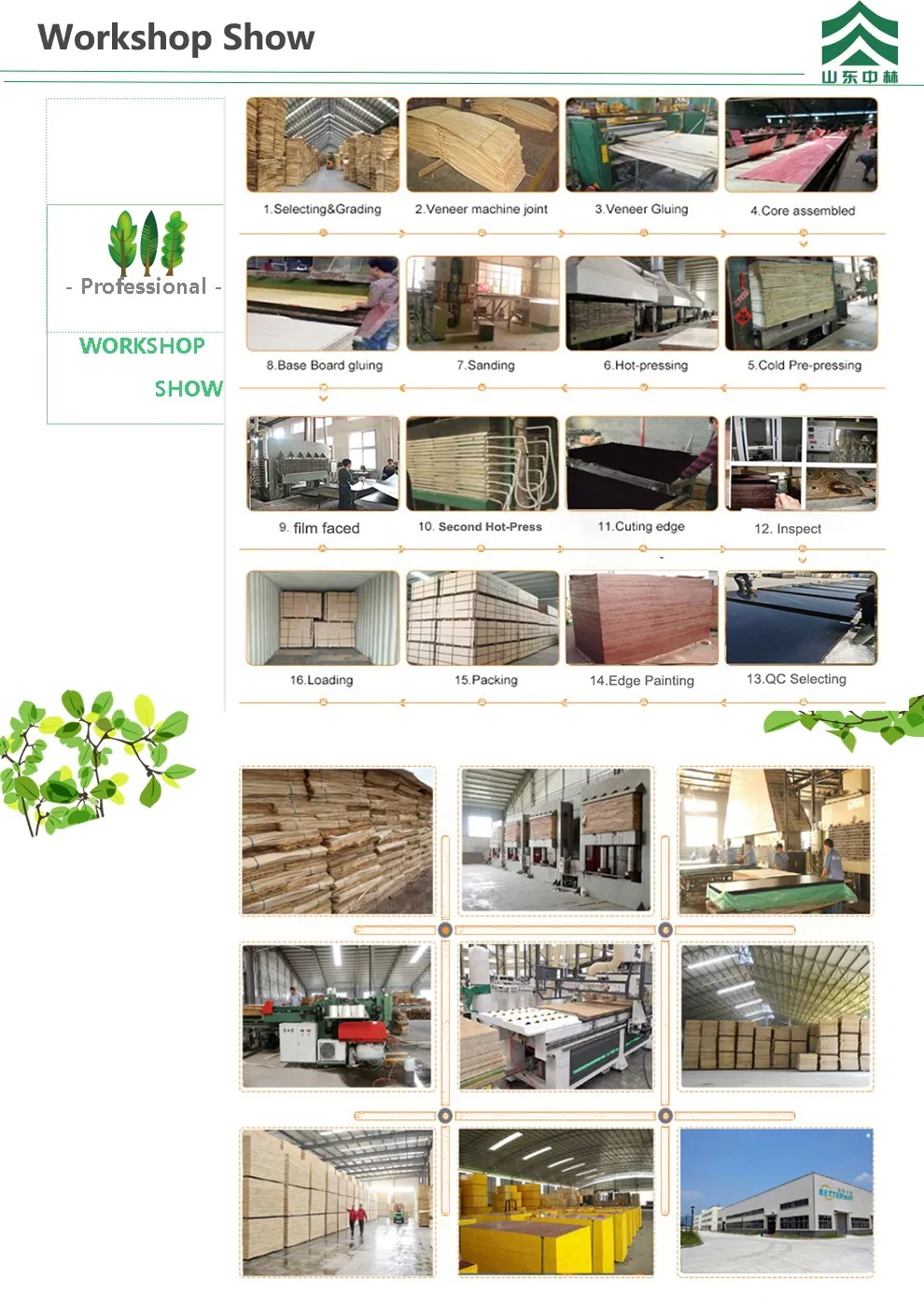 Construction Concrete Template Formwork Birch/Poplar Core 15mm 18mm Film Faced Shuttering Fancy Plywood
