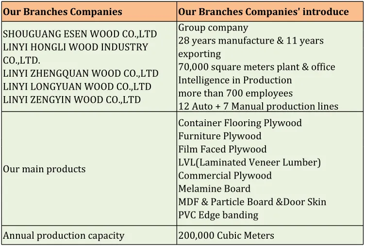 Container Spare Parts 1220*2440*28mm 19ply Container Floorboards