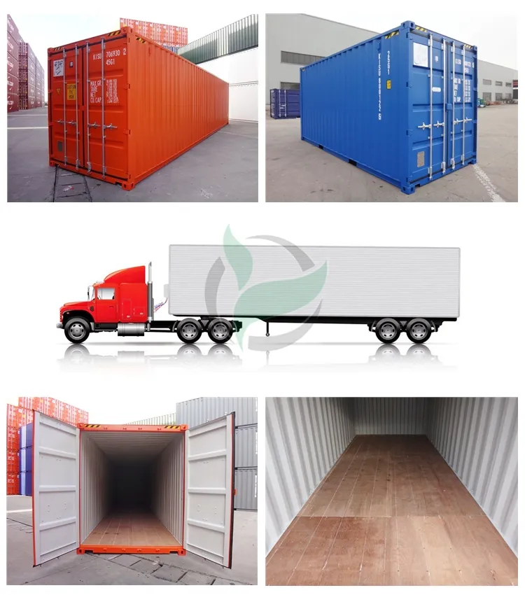 Container Spare Parts 1220*2440*28mm 19ply Container Floorboards