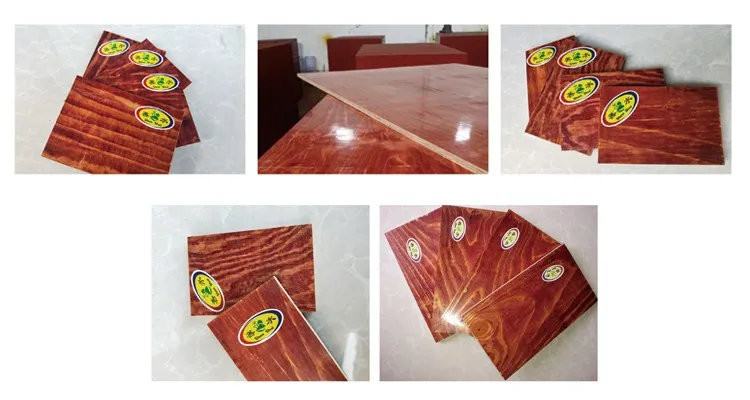 Customized OEM ODM Construction Formwork Plywood Film Faced Plywood