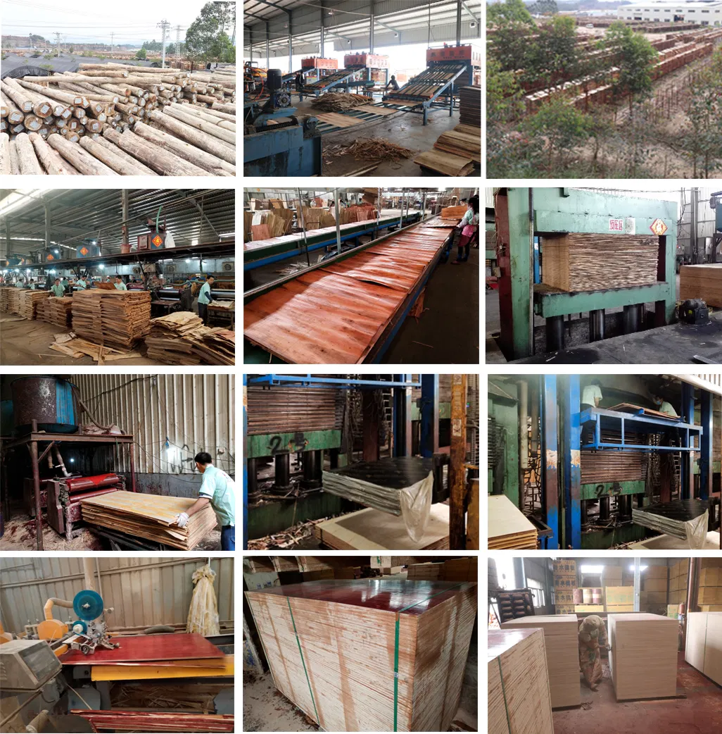 Customized OEM ODM Construction Formwork Plywood Film Faced Plywood
