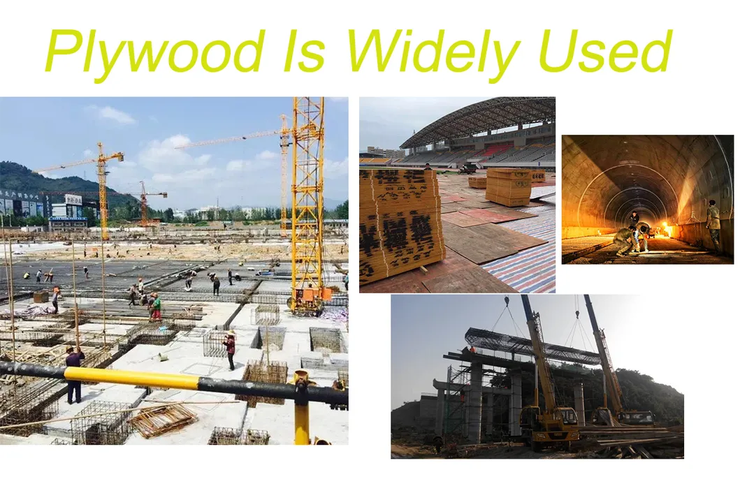 Customized OEM ODM Construction Formwork Plywood Film Faced Plywood