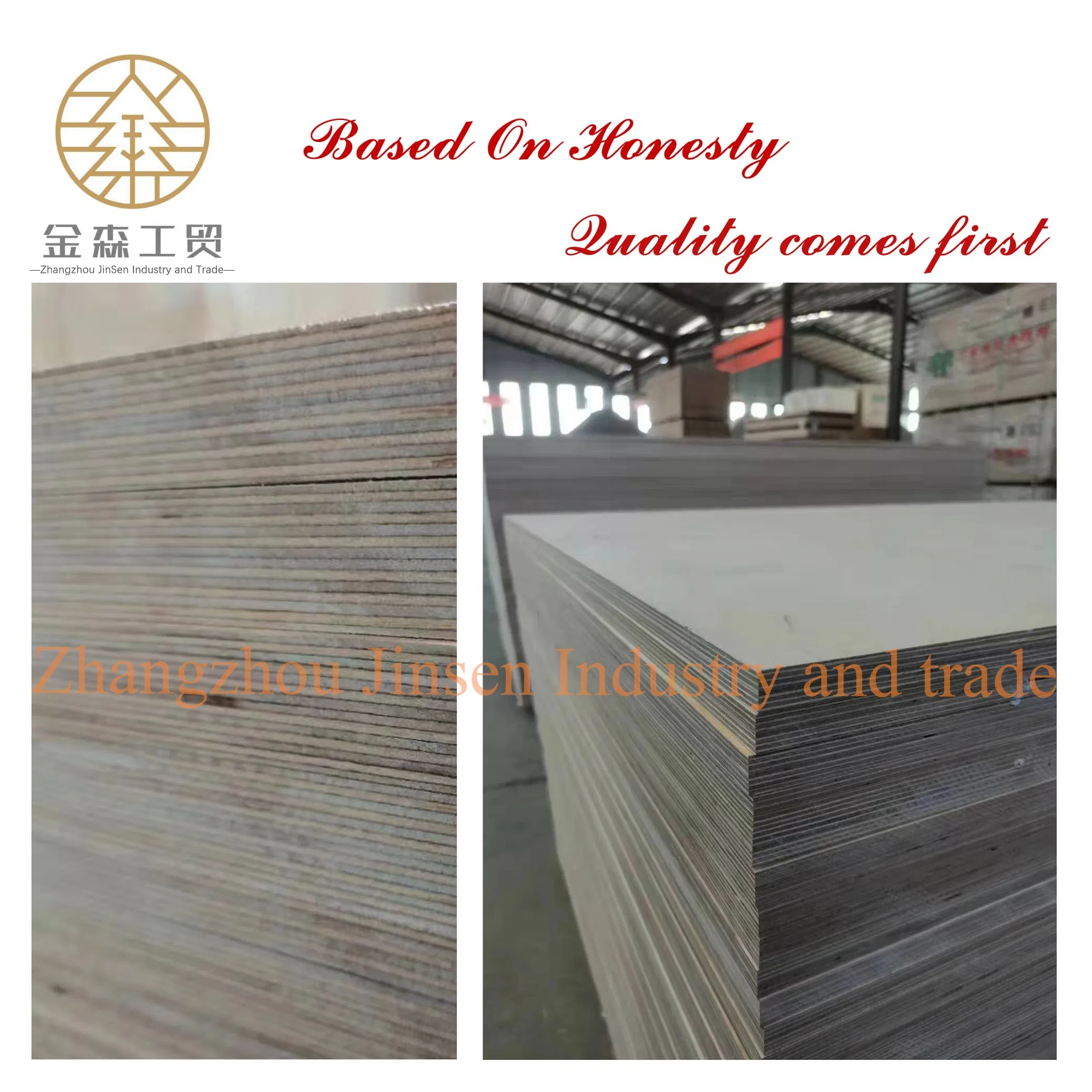 E0 Grade BS 1088 Facotory 12mm 18mm Waterproof Marine Plywood for Sale