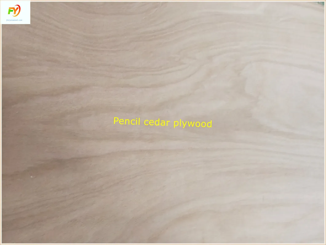 E2 Glue BB/CC Grade Poplar Core Pencil Cedar Plywood 14 Years Exporting Experiences