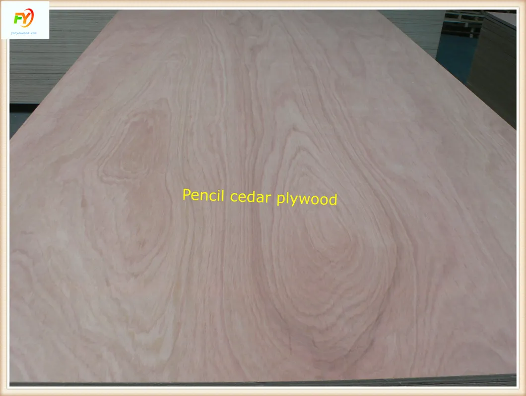 E2 Glue BB/CC Grade Poplar Core Pencil Cedar Plywood 14 Years Exporting Experiences
