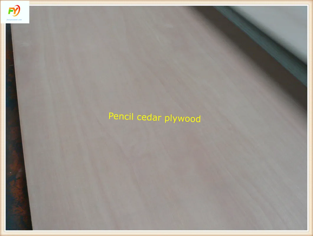 E2 Glue BB/CC Grade Poplar Core Pencil Cedar Plywood 14 Years Exporting Experiences