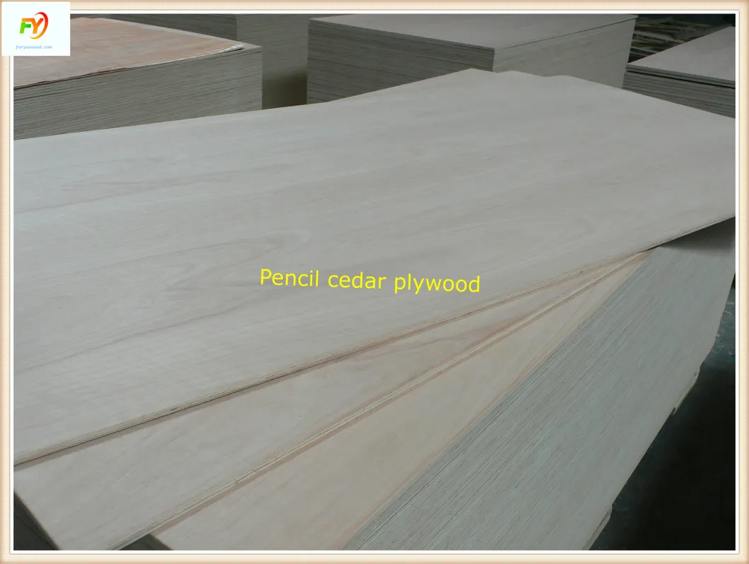 E2 Glue BB/CC Grade Poplar Core Pencil Cedar Plywood 14 Years Exporting Experiences