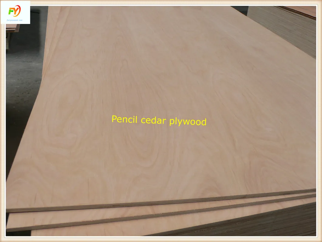 E2 Glue BB/CC Grade Poplar Core Pencil Cedar Plywood 14 Years Exporting Experiences