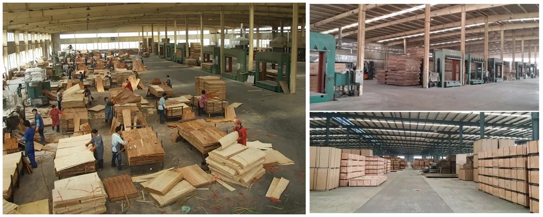 Factory Direct Sale 4mm Natural Teak Veneer Faced Fancy Plywood