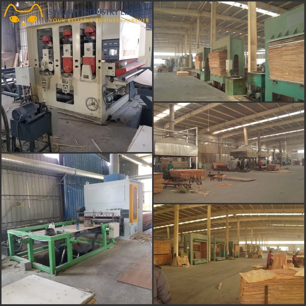 Film Face Plywood, Jpint Core Film Face Plywood, Construction Use 1220*2440*18mm WBP Glue Film Faced Plywood