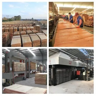 Finger Joint Film Faced Plywood Used for Construction