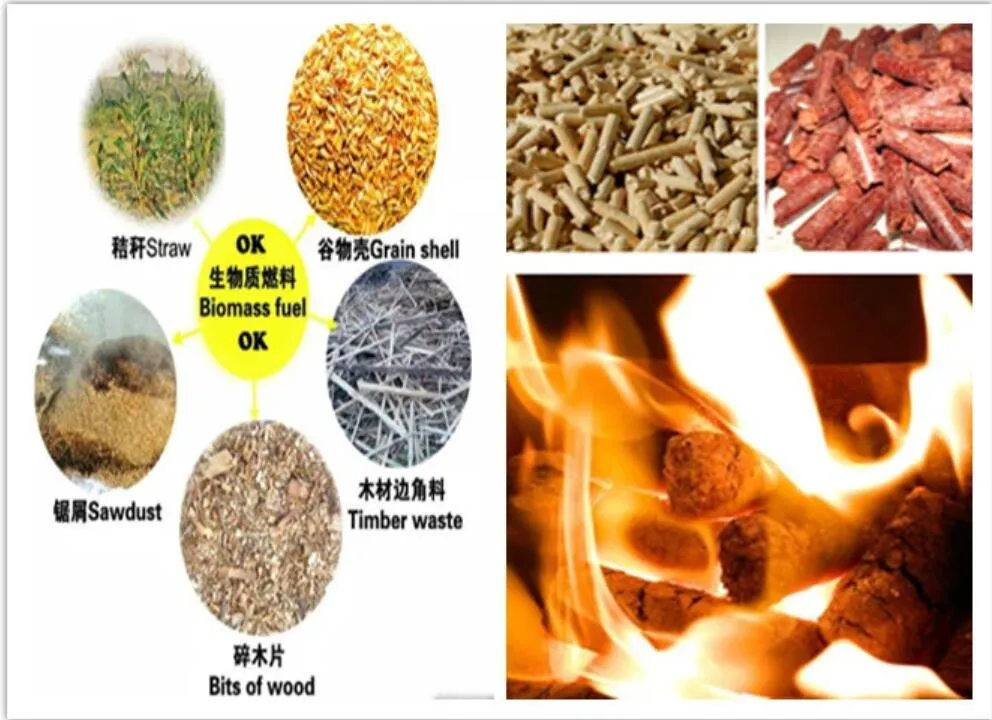 Freestanding Wood Burning Stove Pellet Fireplace Country Warming Hearth Wood Pellet Stove for Small Room Space with Cheap Price